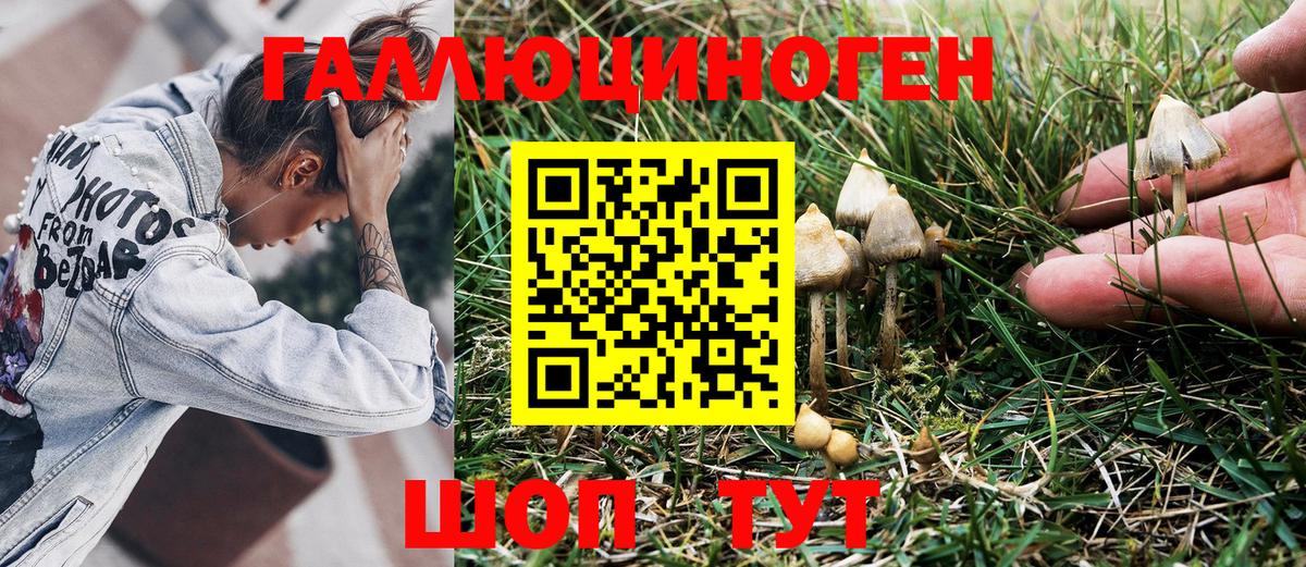 Псилоцибиновые грибы MAGIC MUSHROOMS Владивосток
