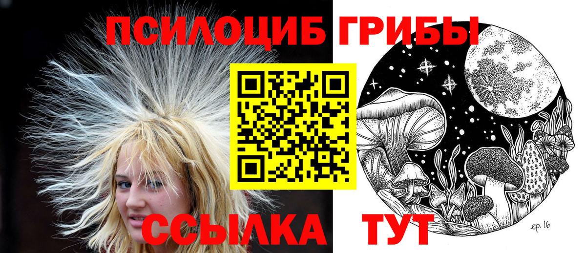 Псилоцибиновые грибы GOLDEN TEACHER  цены   Владивосток  Вход с VPN 